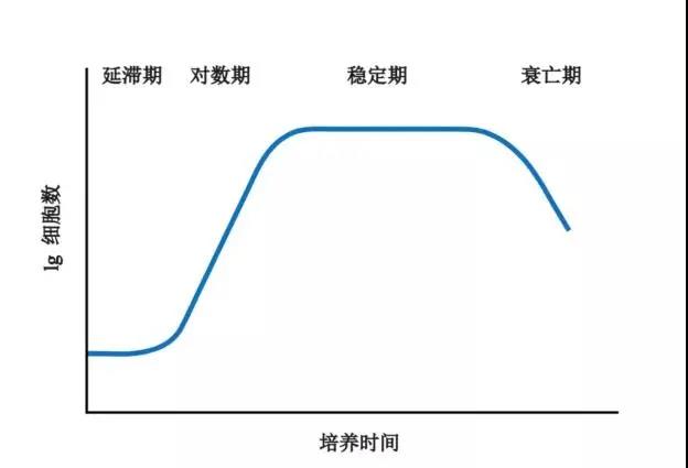 奇怪，这条血培养生长曲线怎么有两个生长周期？