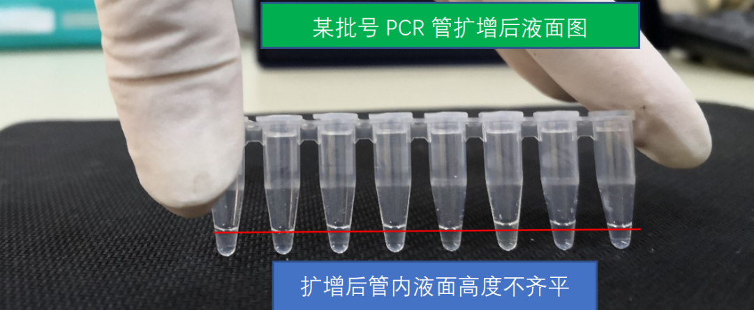 浅谈PCR工作中的试剂耗材质检