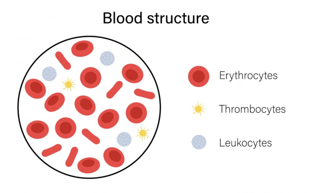 血常规冷凝集标本，该如何处理？