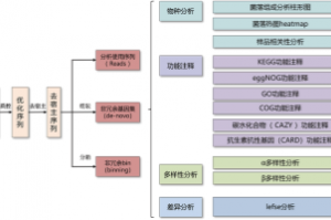 宏基因组测序生物信息学分析的临床应用与面临的问题