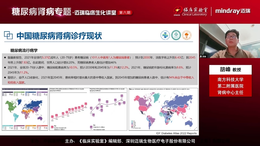 胡峰—糖尿病肾病的精准诊断路在何方？