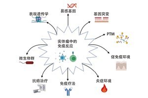 恶性肿瘤的自身免疫反应与 抗体检测的临床诊疗意义