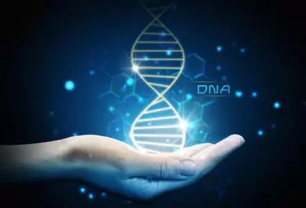 2018’CCLTA之分子诊断技术与临床应用论坛