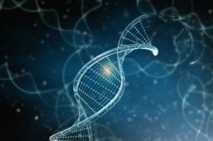 化学发光法定量检测抗双链DNA抗体在系统性红斑狼疮临床诊疗与疾病监测中的价值