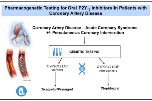 真实世界研究：CYP2C19基因检测可指导PCI患者抗血小板药物阶梯治疗切换