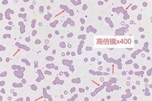 审核结果，要走出惯性思维