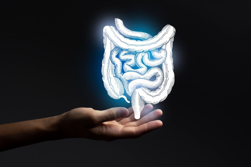 临床微生物诊断对长期门诊肠外抗微生物治疗患者临床护理质量的影响