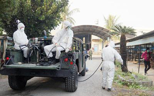 全球首个新型禽流感病毒株 H5N2现身台湾