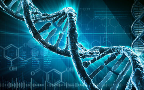 DNA研究向3D时代迈进！