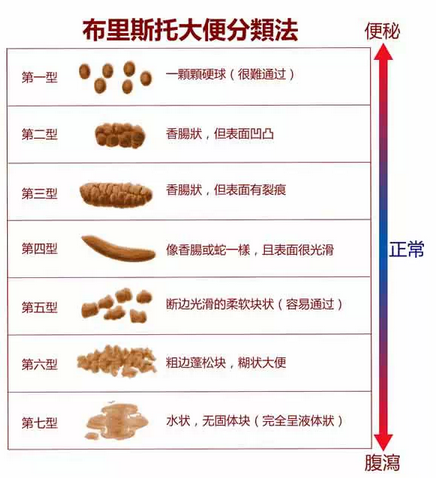 通过大小便进行健康自检：请回头看它们最后一眼