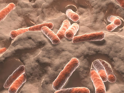 Cell：首次证实病毒组与疾病有关
