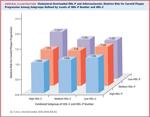 赵冬教授团队：HDL-P与颈动脉粥样硬化进展独立相关