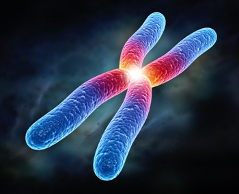 沈阳发现世界首报染色体异常核型