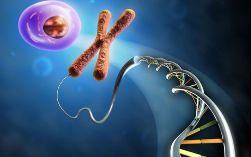 Science：发布新型单细胞基因表达检测技术