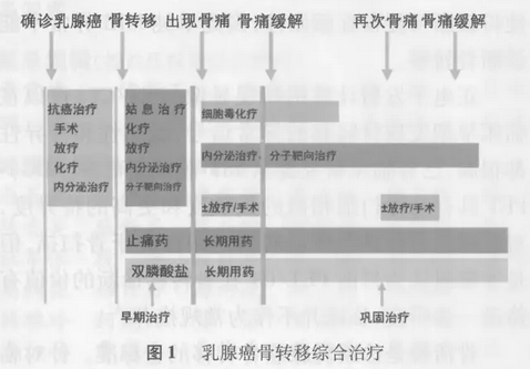 乳腺癌骨转移和骨相关疾病临床诊疗专家共识（2014版）