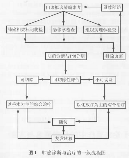 中国原发性肺癌诊疗规范（2015年版）