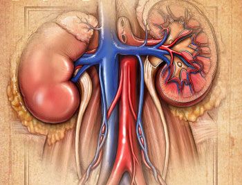 急性肾损伤：简单的测试可以预知病情风险