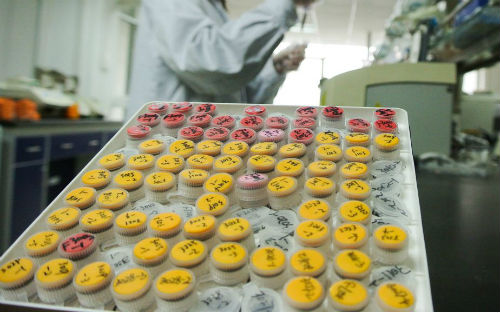 “生物银行”何时告别单兵作战？