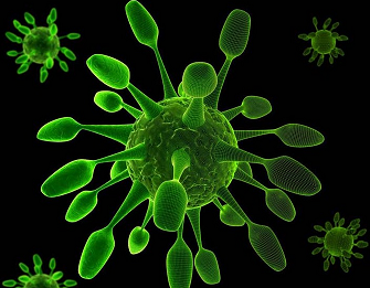 研究发现成年人“感冒”多数并非流感