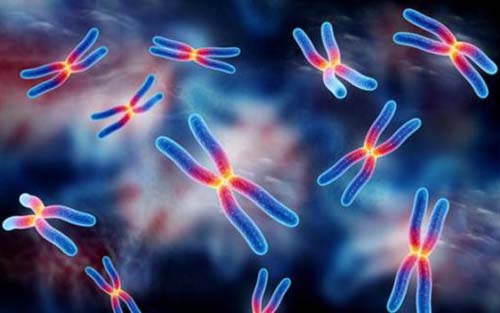 盖茨也倾心：基因科学如何成为经济引擎？