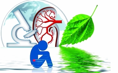 小小感冒诱发慢性肾病 你的肾还好吗？