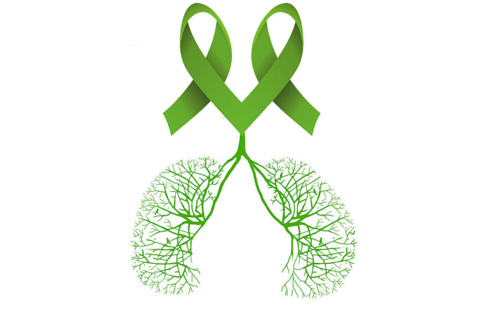 为耐多药结核病防治“中国模式”点赞