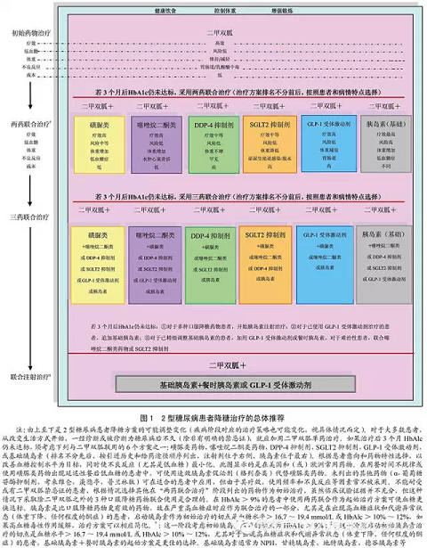 专家解读2015ADA/EASD高血糖管理立场声明