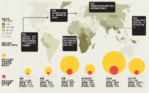 对抗结核病的100年 ——全球视角