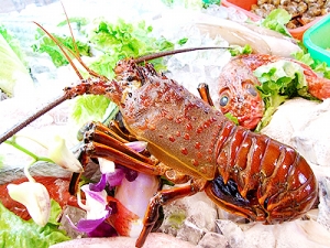 血液测试能够预测花生和海鲜过敏的严重性