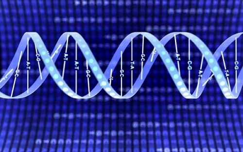Nature Methods：两轮捕获+双重测序 成就史上最精准的测序！
