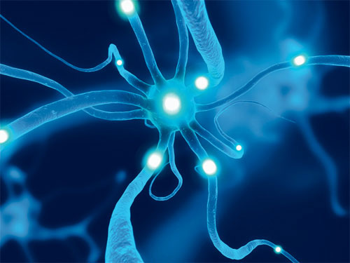 脑部疾病？给一个更精确的诊断吧！