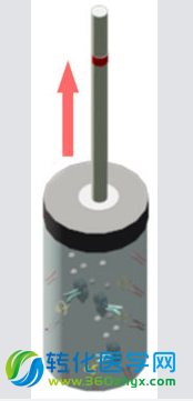 开发温度计设备快速诊断心脏病指日可待