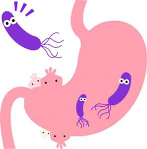 根除幽门螺杆菌要做到一举歼灭