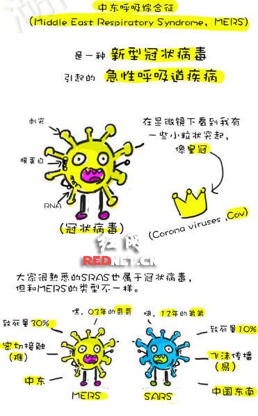 湖南一医学生漫画MERS病毒 1分钟让你了解