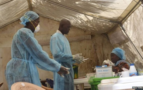 英公开埃博拉病毒基因测序数据