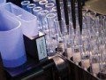解放军第307医院：基于基因检测的伴随诊断指导肺癌个体化治疗
