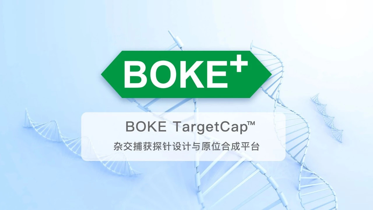 打破国外垄断！伯科生物推出自主知识产权的生物液相芯片杂交捕获与探针原位合成技术