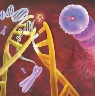 PNAS重磅：CTC精确分析，15分钟浓缩10万倍！液态活检巨大突破！