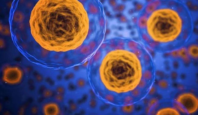 Cell：突破！新法有望预测癌症类型！