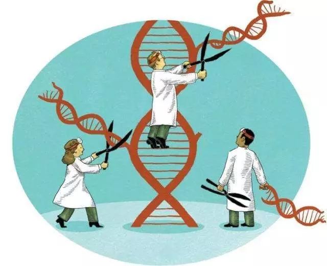 以色列研发出脑瘤治疗新方法：通过影响特定基因抑制生长