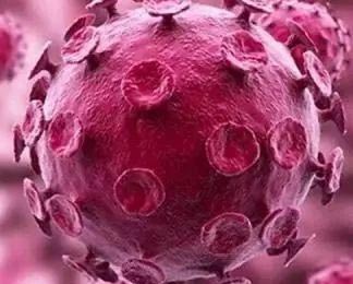 都是HPV阳性，为什么医生的处理方式会不同呢？