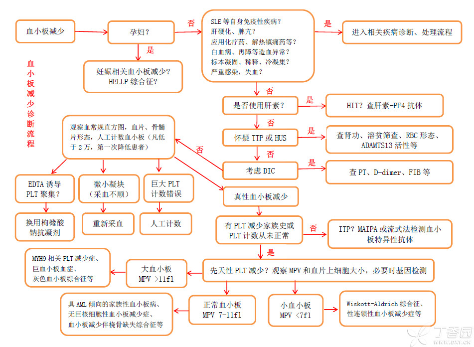 一图读懂丨血小板减少诊断流程