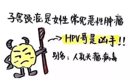 孕前让我做TCT和HPV检查是“多余”的吗？