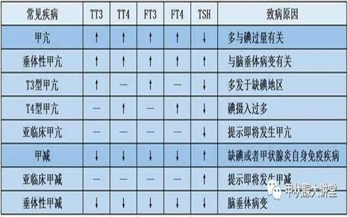 甲状腺功能检查八项指标临床意义！