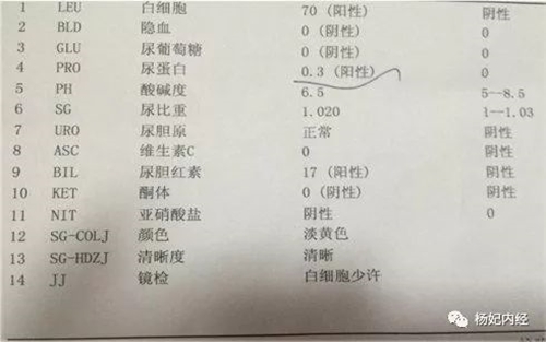 尿常规提示蛋白尿+，是不是得肾病了？