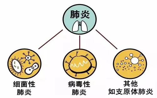 武汉突现“不明原因肺炎”！如何自我防护，呵护自己的肺？