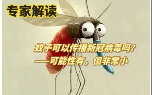 蚊子可以传播新冠病毒吗？