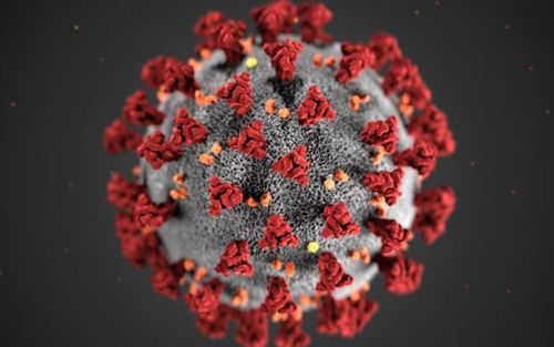【新型冠状病毒】新型冠状病毒肺炎核酸检测现状及研究进展