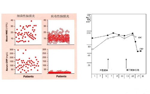 查了血常规，为什么还要查CRP？
