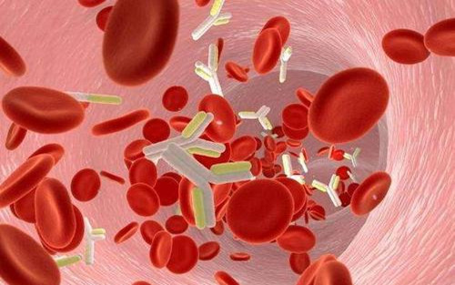 标本溶血对生化检验结果的影响有多大？